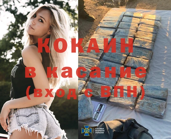 ГАЛЛЮЦИНОГЕННЫЕ ГРИБЫ Абаза