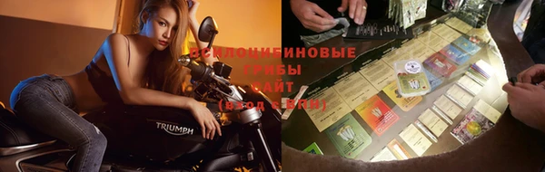 ГАЛЛЮЦИНОГЕННЫЕ ГРИБЫ Абаза
