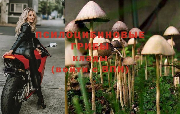 ГАЛЛЮЦИНОГЕННЫЕ ГРИБЫ Абаза